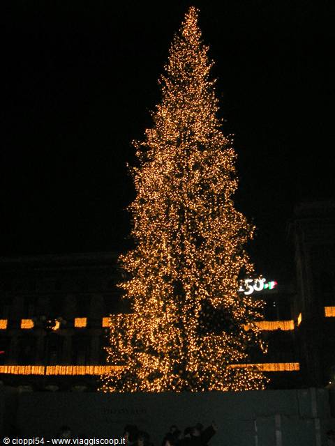 l'albero di natale di piazza del duomo