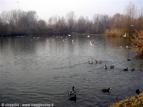 un laghetto del parco delle cave