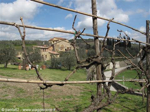 panorama Chianti senese