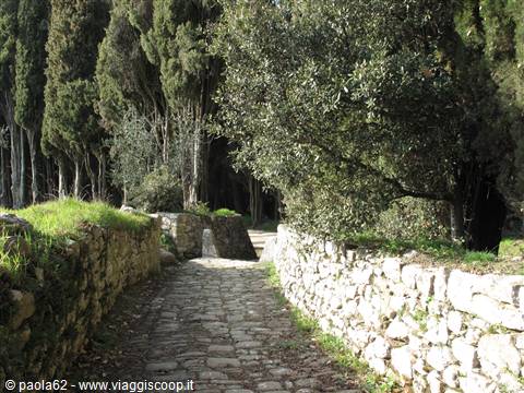 verso il Castello di Brolio