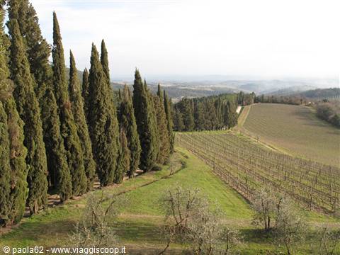 panorama dal castello di Brolio