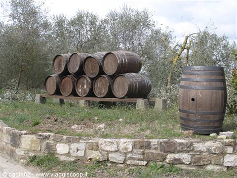 particolare del Chianti