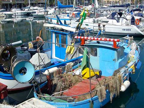 Pescherecci nel Porto di Savona