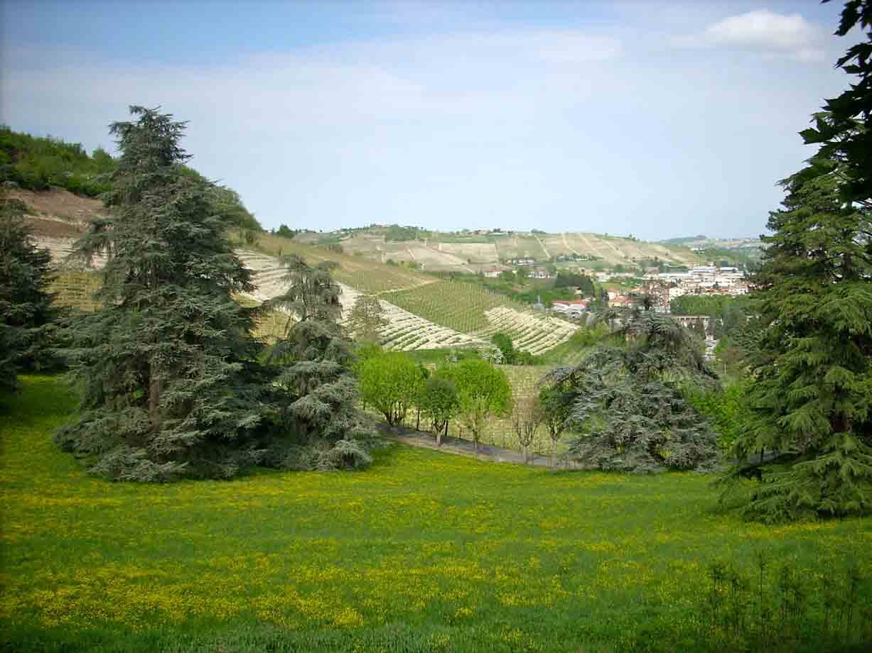 Il paesaggio intorno a Canelli