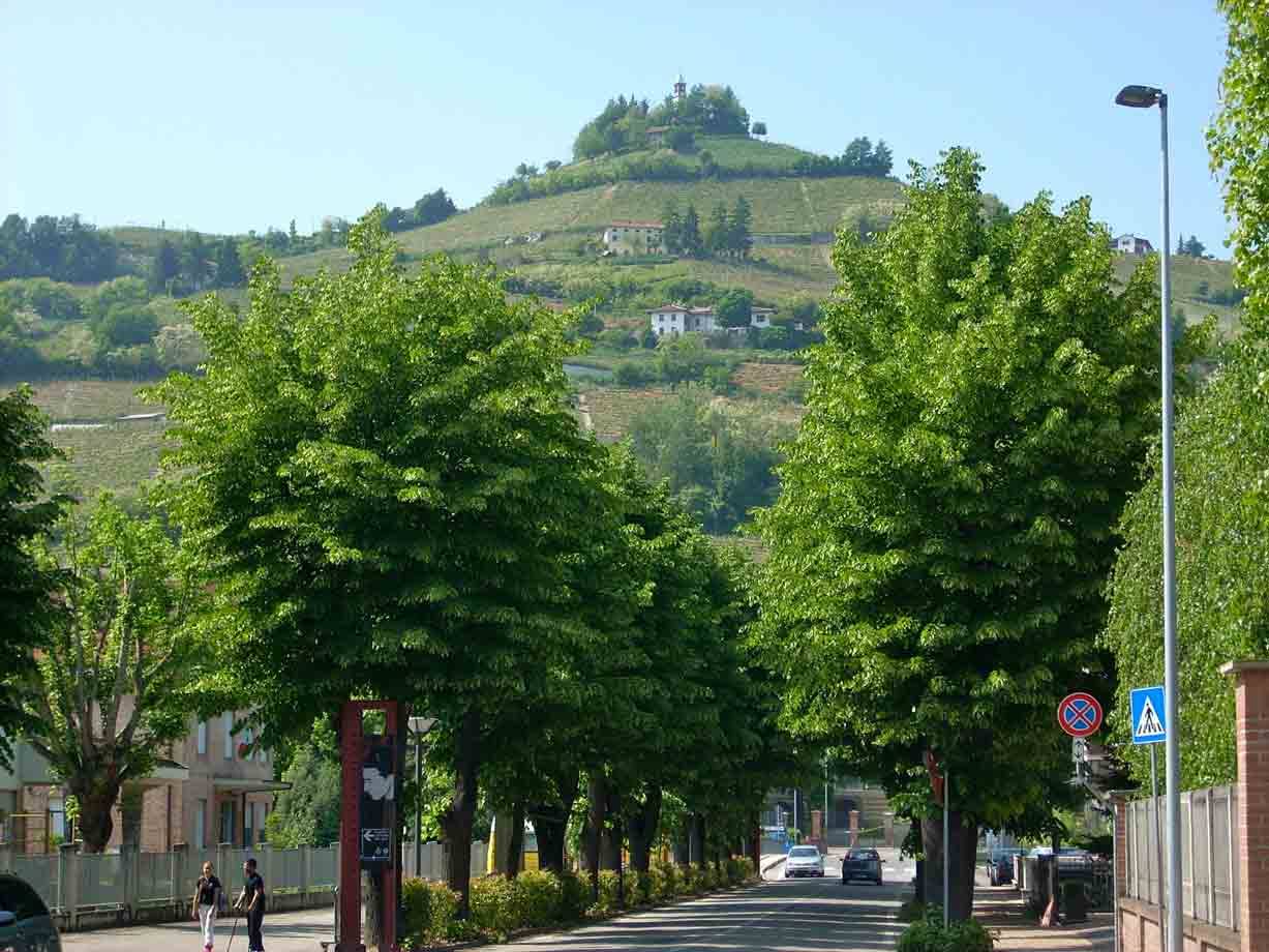 Veduta da Santo Stefano Belbo
