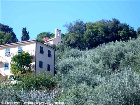 La Chiesa della Madonna degli Angeli che s'intravede tra gli ulivi