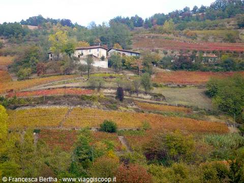 Le splendide colline intorno ad Alba