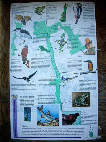 La fauna della Valle Olona