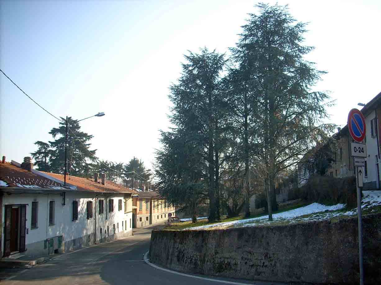 Uno scorcio di Olgiate Olona
