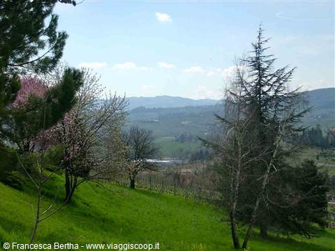 Panorama intorno a Costigliole d'Asti
