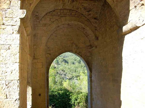Tra natura e mistero