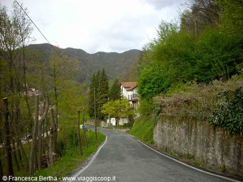 Arrivando a Savignone