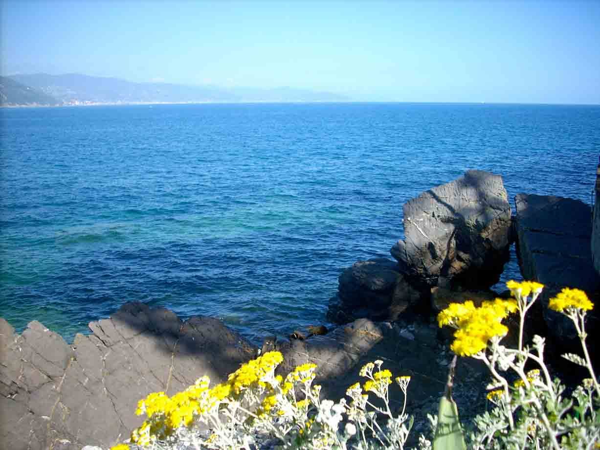 Il mare a Santa Margherita Ligure