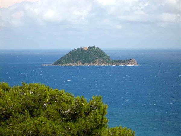 Isola Gallinara