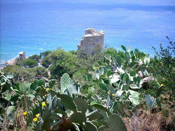 L'antica torre, vista da Santa Croce