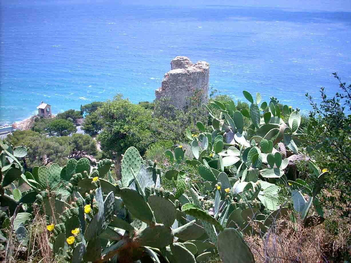 L'antica torre, vista da Santa Croce