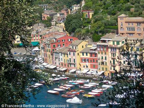 Tra artisti, re e delfini, nel borgo più celebre del mondo: una giornata a Portofino