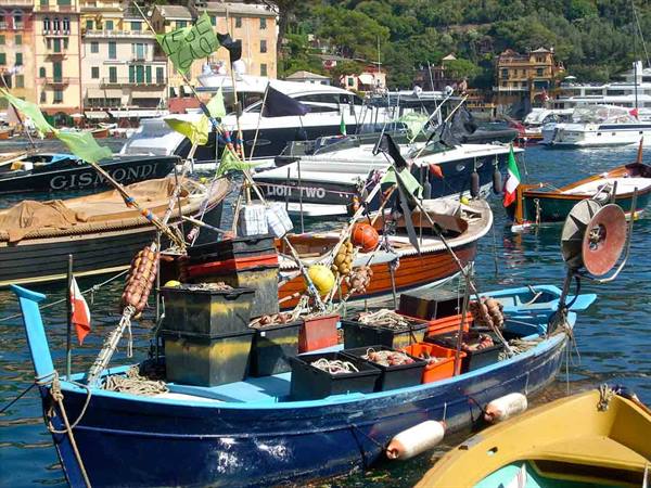 Pescherecci a Portofino