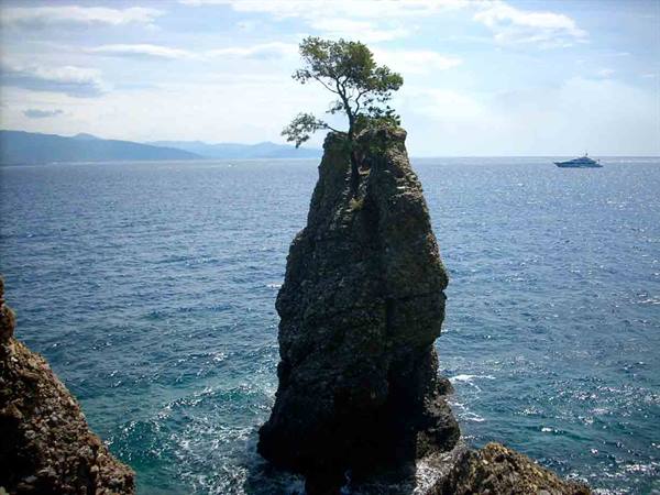 La forza della natura