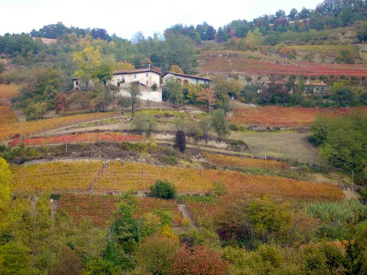 I colori dell'autunno intorno ad Alba
