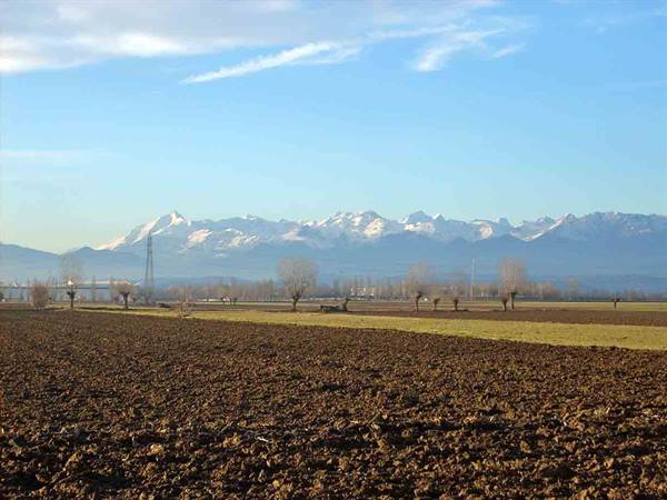 Veduta sulle Alpi dalla frazione Tetti Valfrè di Orbassano