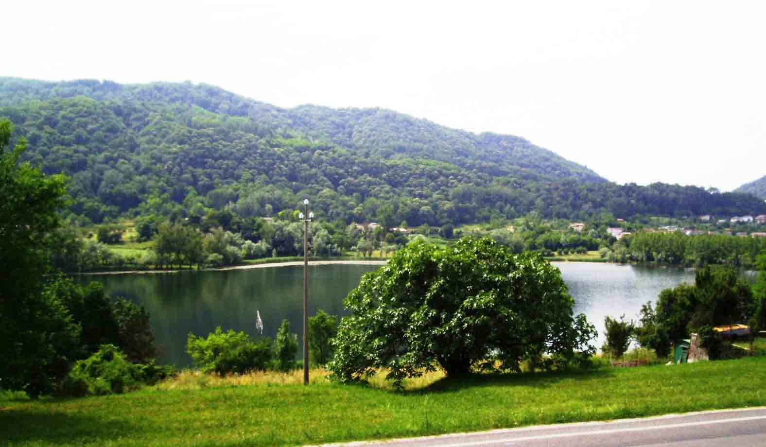 Lungo l'asfalto un albero verde davanti a un lago circondato da colline boschive