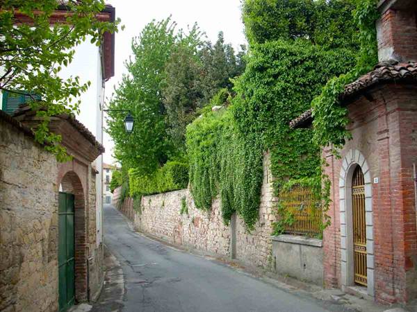 Vecchi muri nel verde