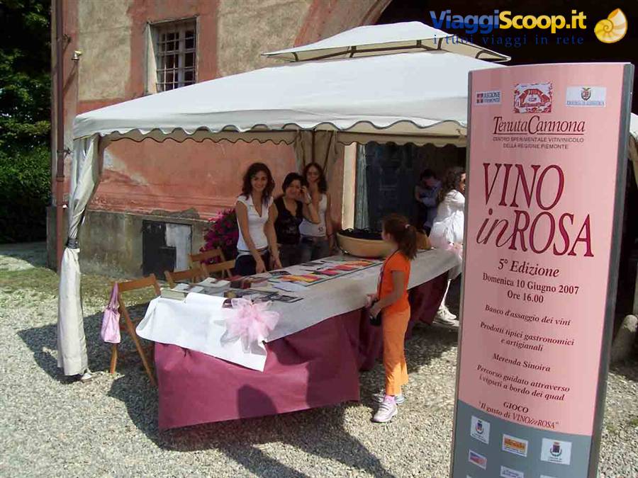 Vino in Rosa