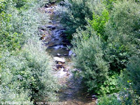 Il torrente Visone