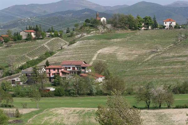 Per le colline di Tagliolo