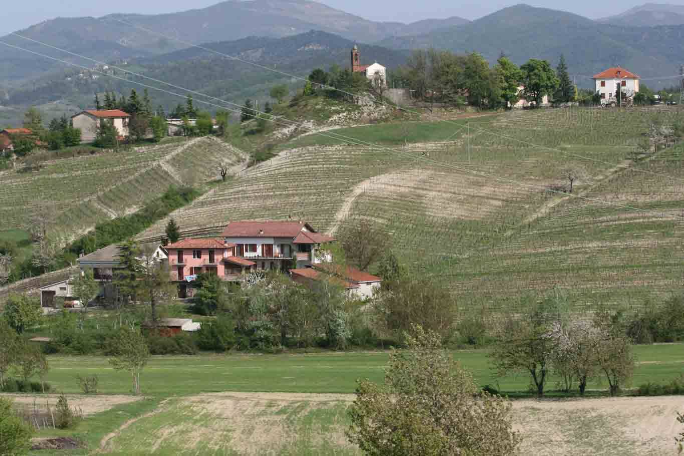 Per le colline di Tagliolo