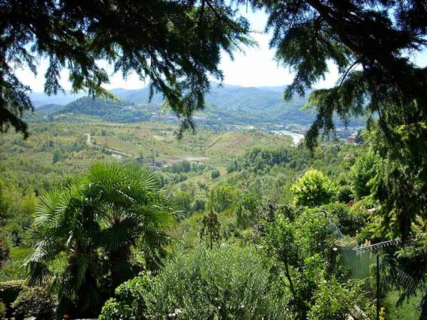 Veduta sulle colline da Tagliolo