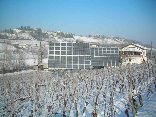 I vigneti dell'Azienda agricola Cà Bensi sotto la neve