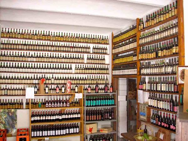 Nella cantina dell'Agriturismo Bottazza