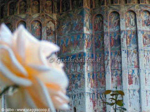 Monastero di Humor