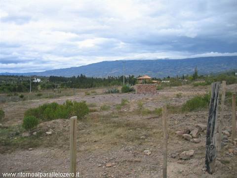 Desertico