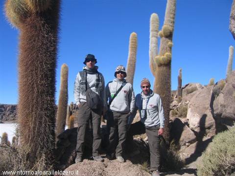 In mezzo ai cactus