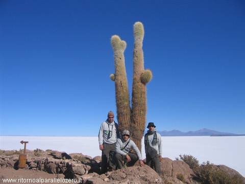 A confronto con il cactus