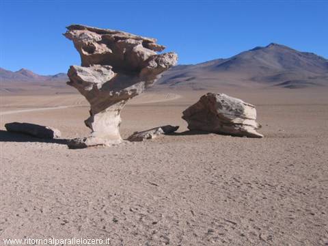 Arbol de pietra