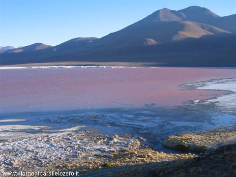 Laguna colorada