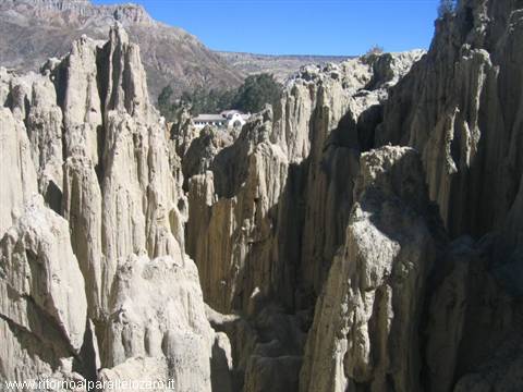 Formazioni fangose