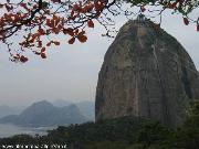 Ascesa al Pão de Açucar