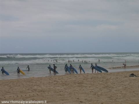 Lezione di surf