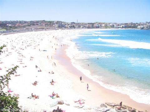 Bondi beach