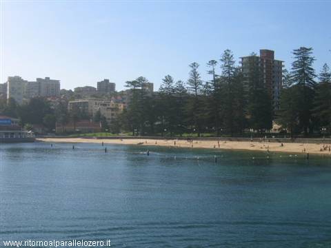 Manly harbour