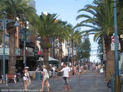 Surfers Paradise e Fraser Island - diario di viaggio