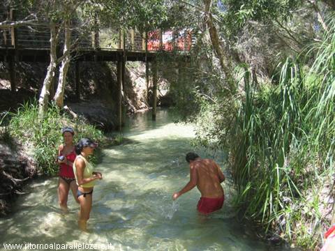 Eli Creek