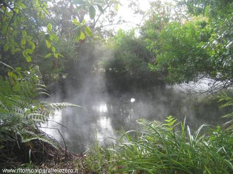 Vapori a Rotorua