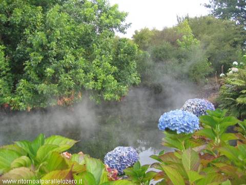 Vapori a Rotorua