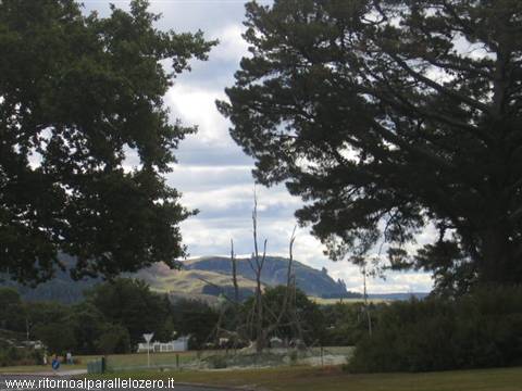 Dintorni di Rotorua